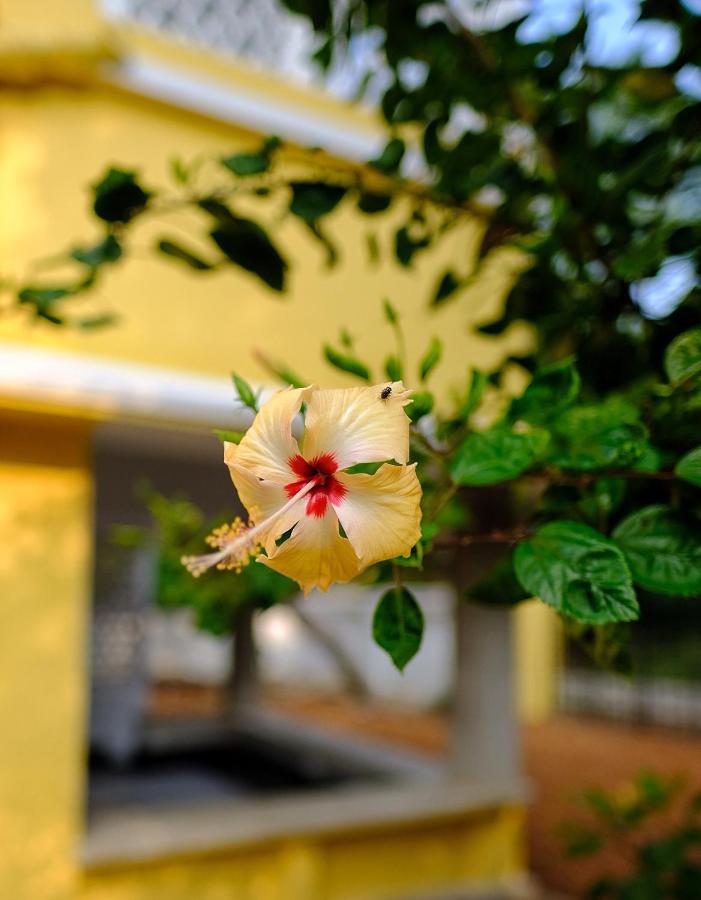 Parul - Elegant Heritage Home At The Heart Of Shantiniketan 外观 照片