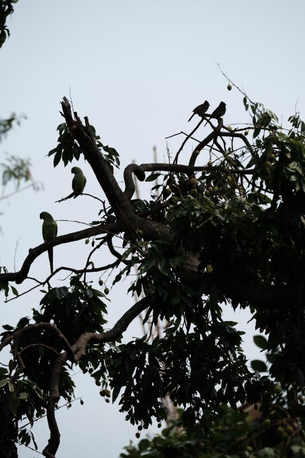 Parul - Elegant Heritage Home At The Heart Of Shantiniketan 外观 照片